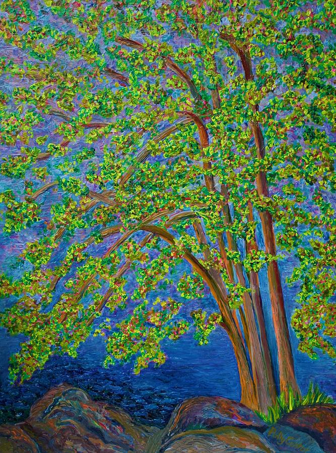 Tree by Long Lake in Maine Painting by Polly Castor