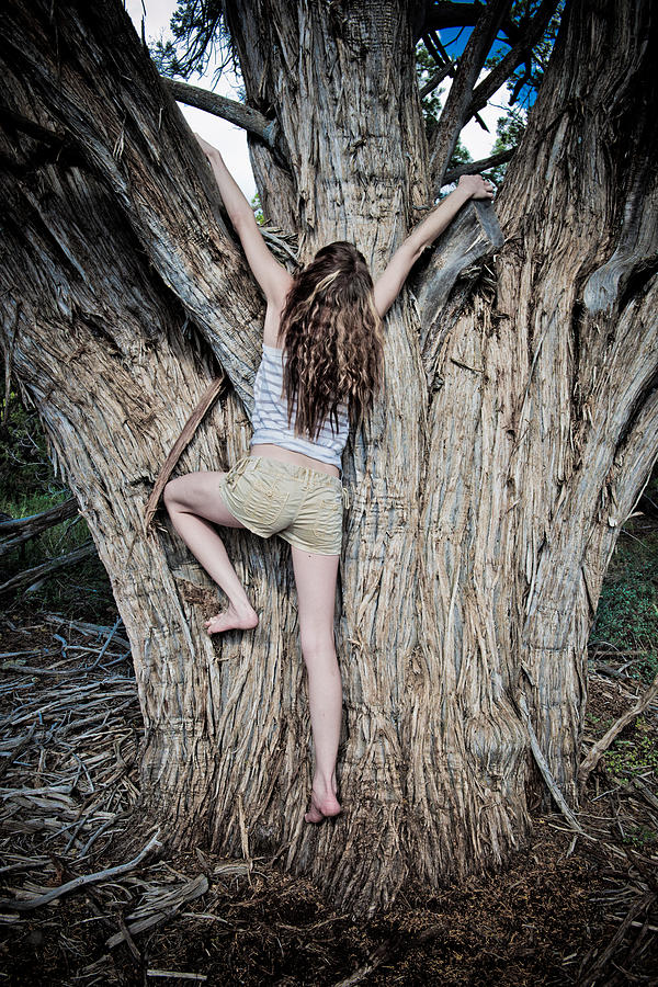 Tree climber Photograph by Scott Sawyer