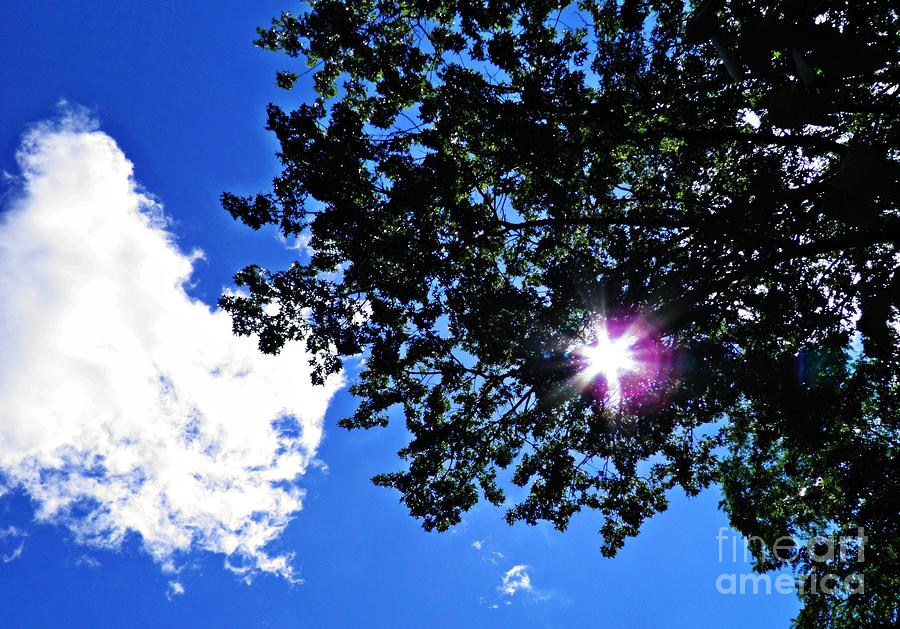 Tree Photograph - Tree Cloud and Sun by Sarah Loft