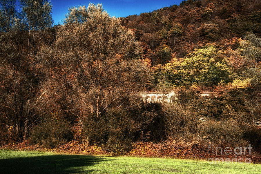 Tree-covered slope in fall.  Photograph by Claudio Lepri