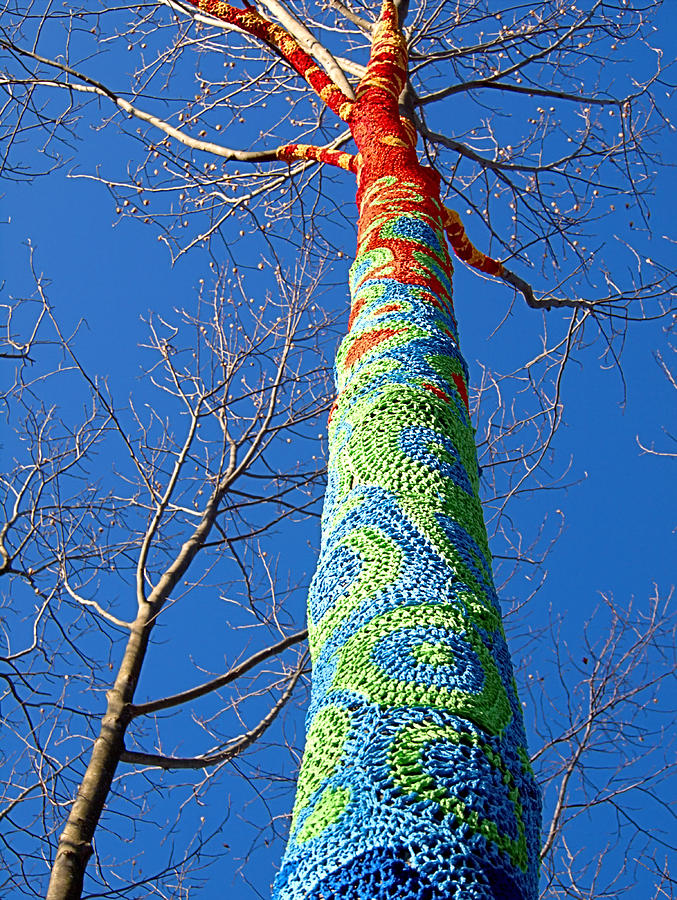 Tree Crochet I I Photograph by  Newwwman