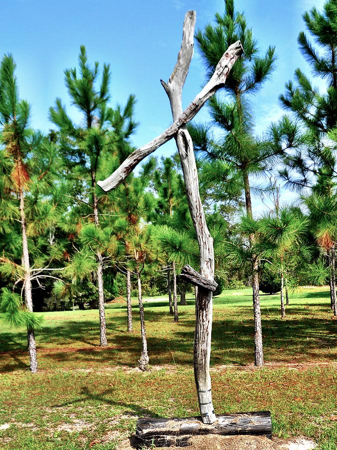 Tree Cross Photograph by David Brown - Fine Art America