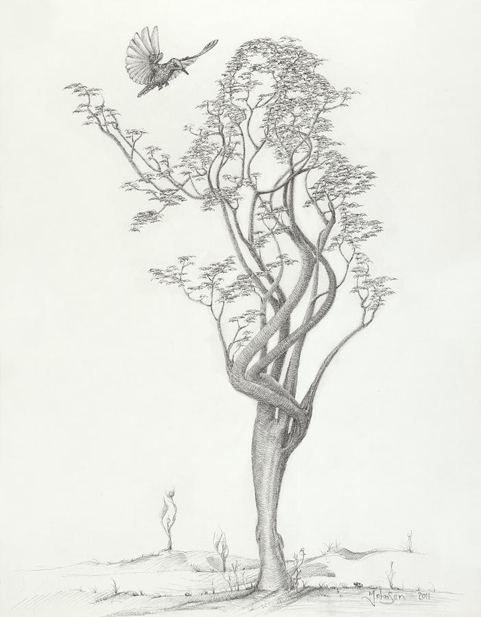 Nature Drawing - Tree Dancer in Flight by Mark Johnson