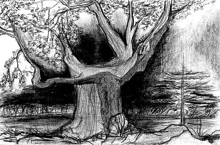 Unique Drawing - Tree Dark Background by Matt Quest