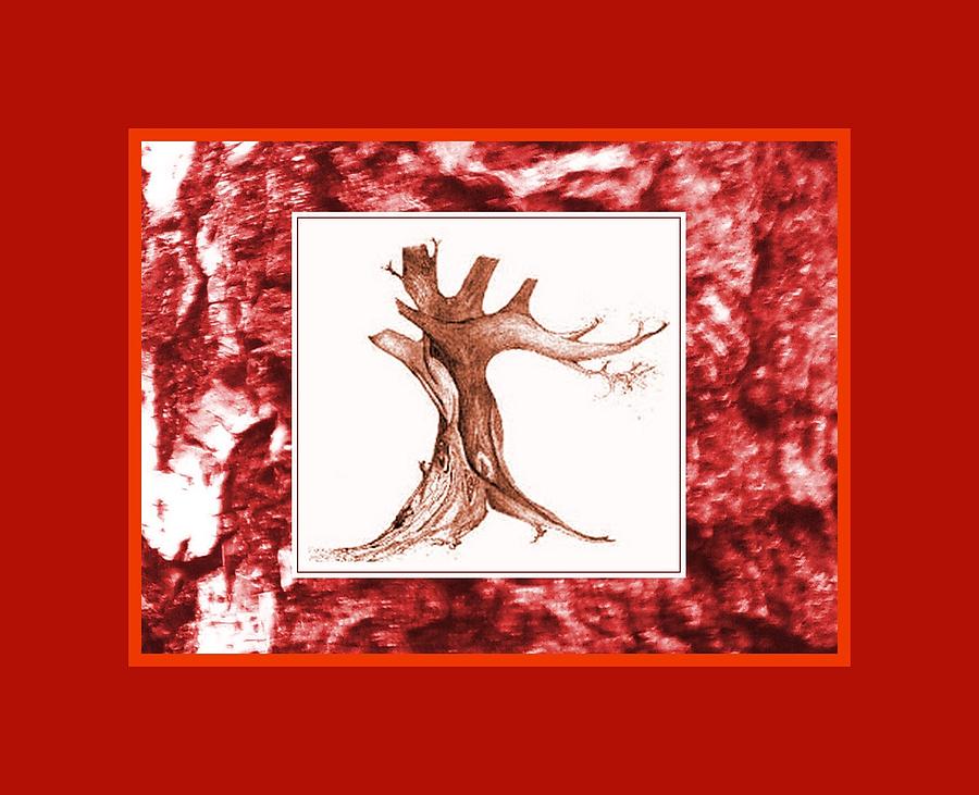 Tree Drawing on Bark Photo Red Mixed Media by Julia Woodman