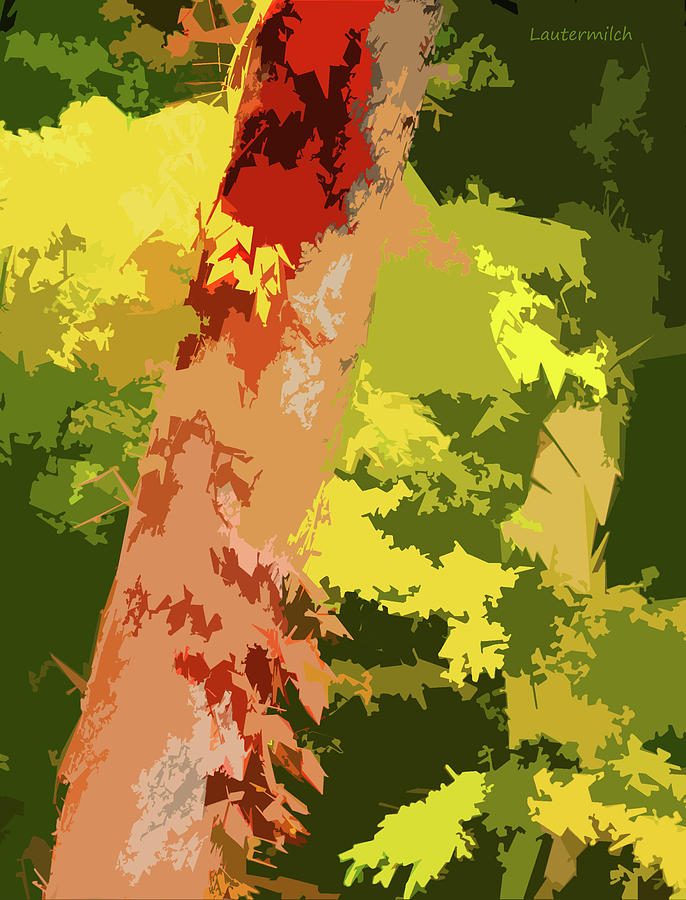 Tree Enhancement Digital Art by John Lautermilch