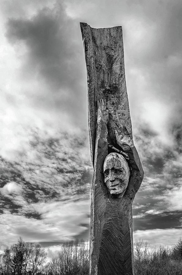 Tree Face Photograph by David Stewart - Fine Art America