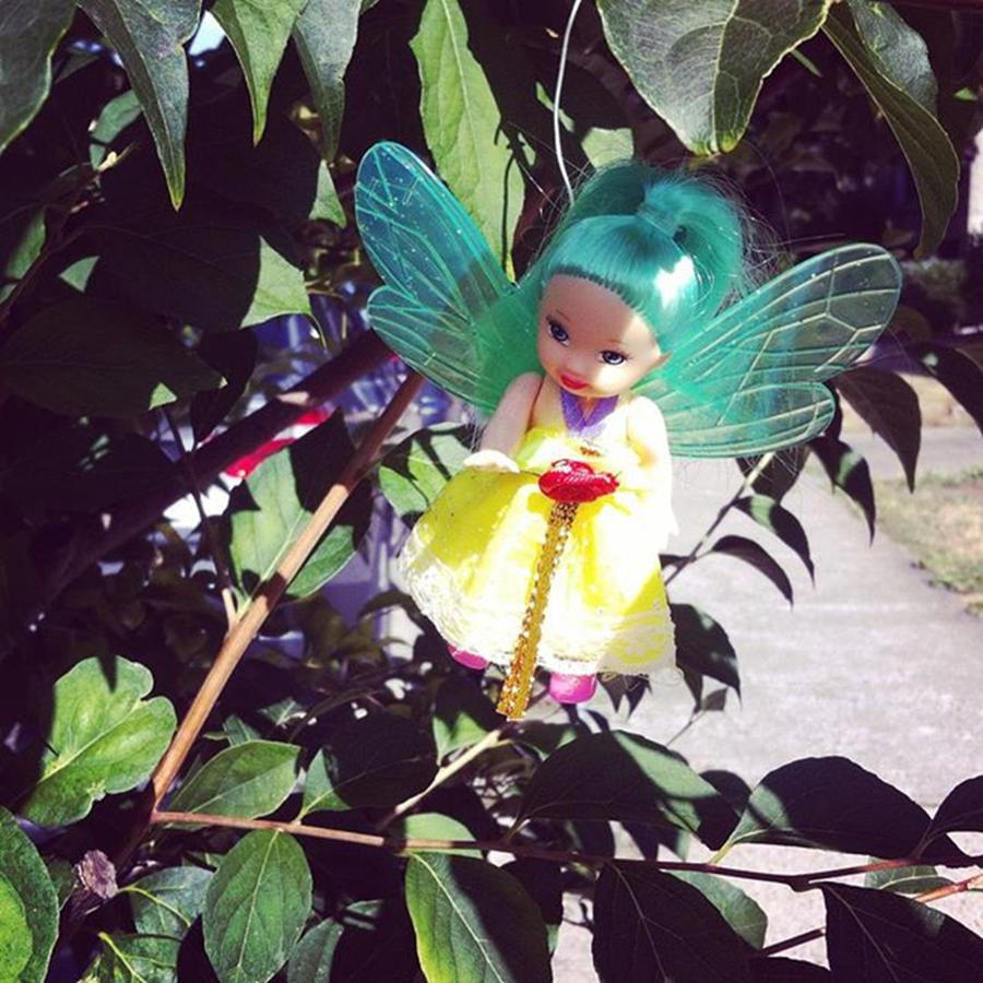 Tree Fairy #sidewalksofvancouver Photograph by Luzia Light