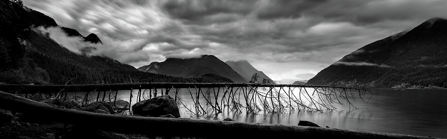 Tree Fall at Alouette Lake by Brad Koop Tree Fall at Alouette Lake by Brad Koop