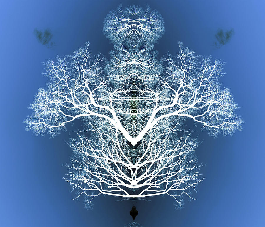 Tree Flip 3 Digital Art by Steve Ball