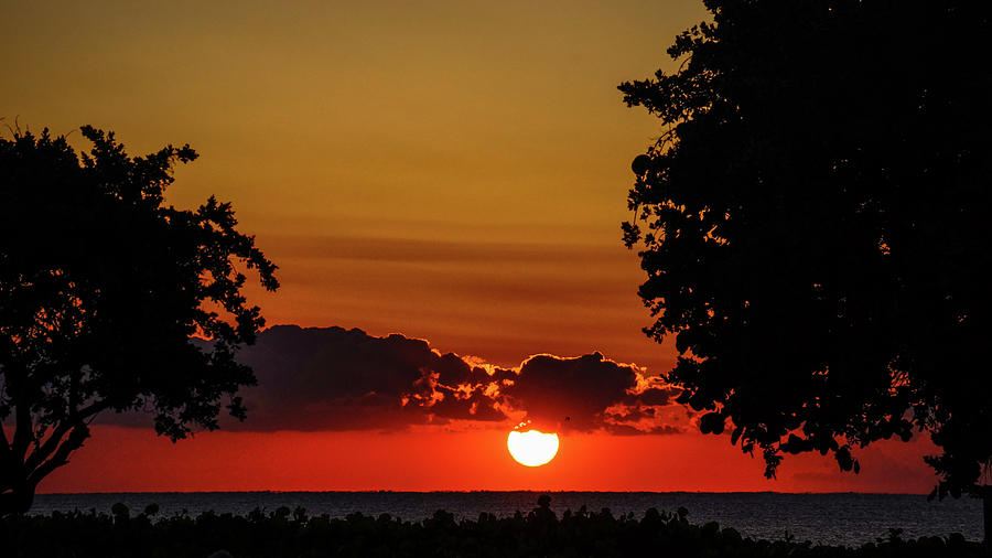 Tree Framed Sunrise Delray Beach Florida Photograph by Lawrence S Richardson Jr