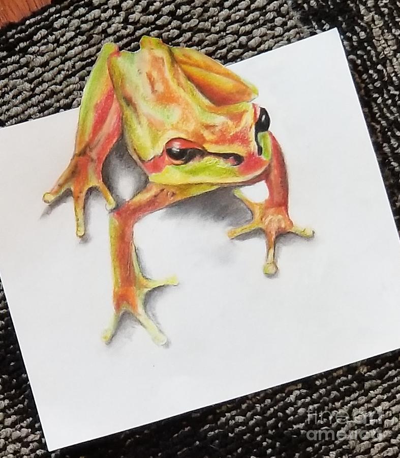 Frog Drawing - Tree frog 3d  by Sandra Valentini
