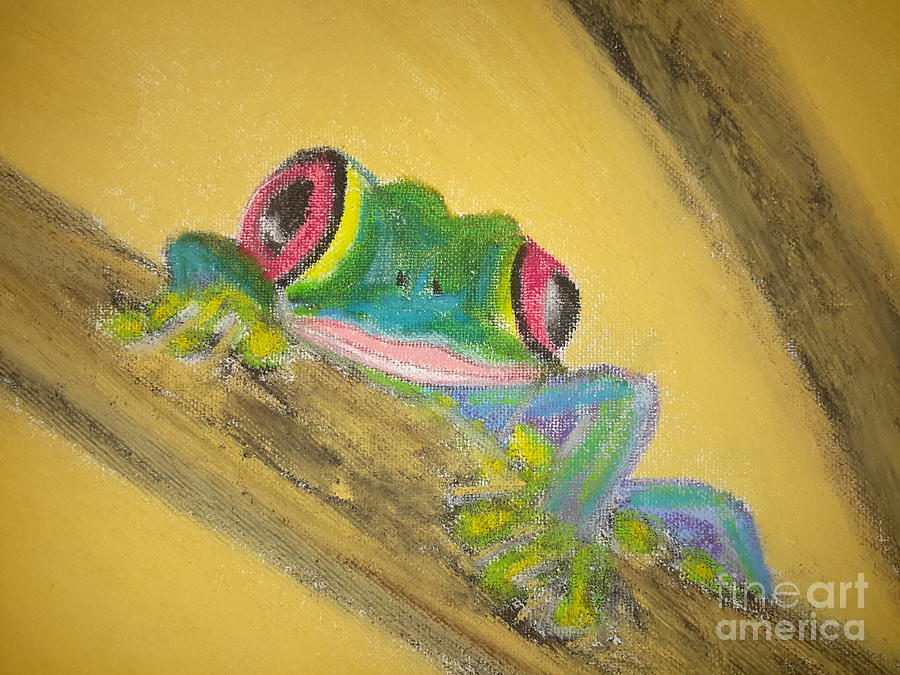 Frog Painting - Tree Frog by Cindy  Riley