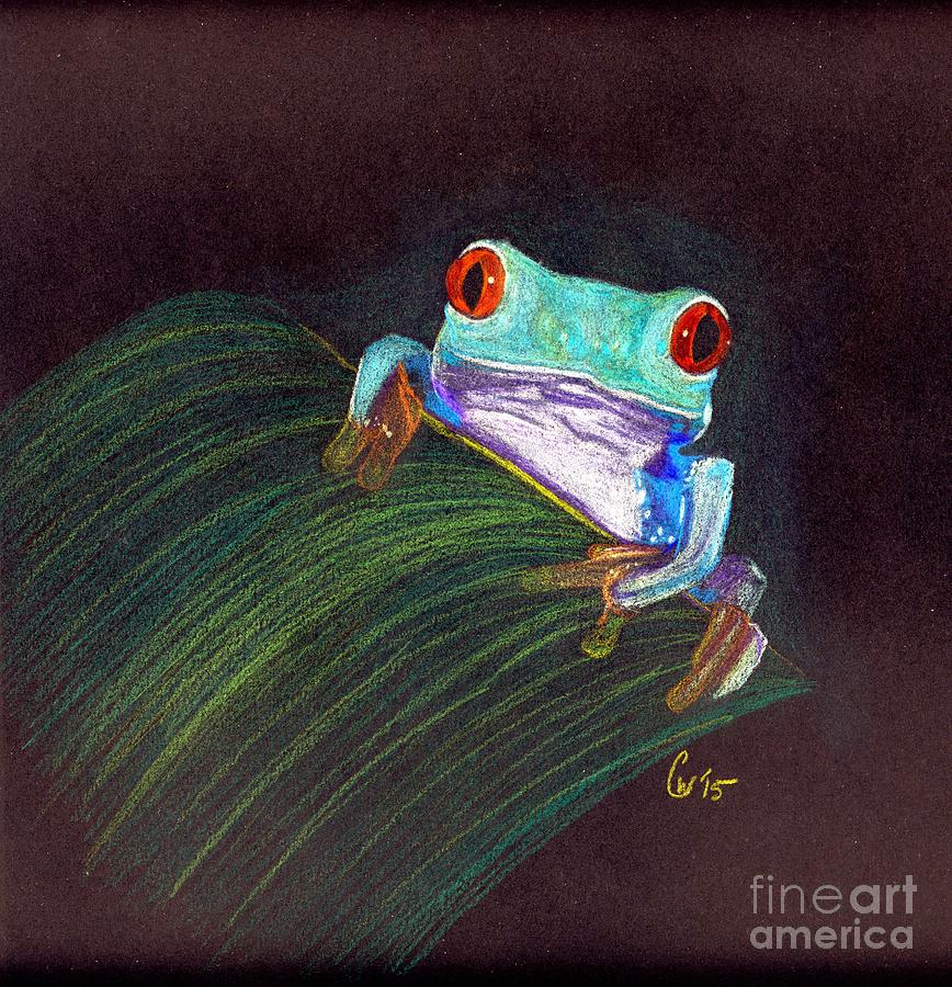 tree frogs drawings