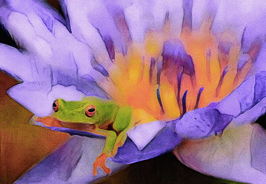 Tree Frog in Repose by Susan Maxwell Schmidt Tree Frog in Repose by Susan Maxwell Schmidt