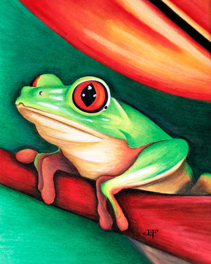 Tree Frog Drawing By J Olson Laf