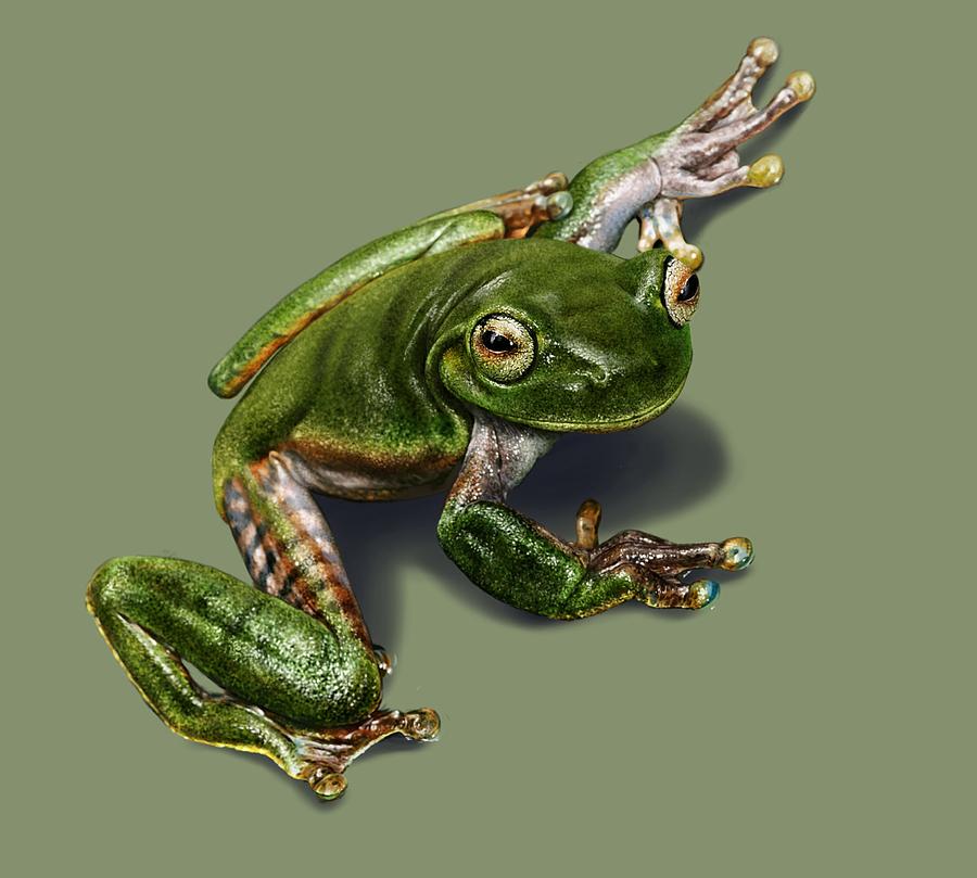 Tree Frog  Digital Art by Owen Bell