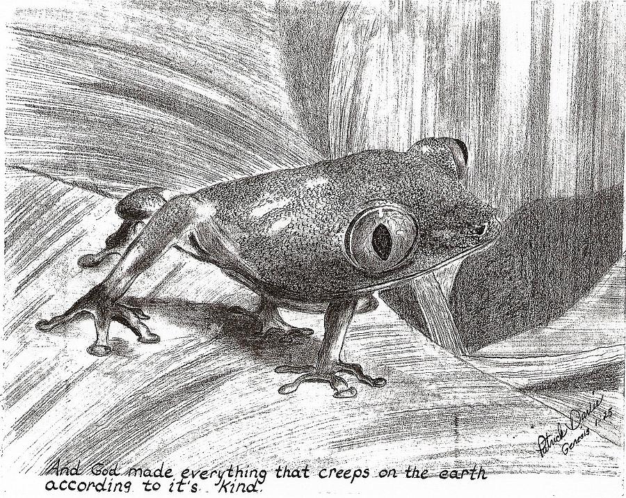 Tree Frog Drawing by Patrick Davis