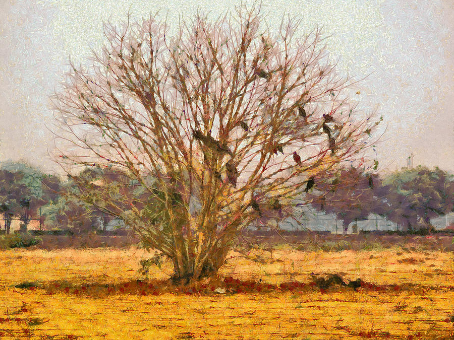 Tree full of large birds Photograph by Ashish Agarwal