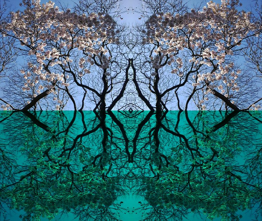 Tree Gate between Water and Sky Worlds Mixed Media by Julia Woodman