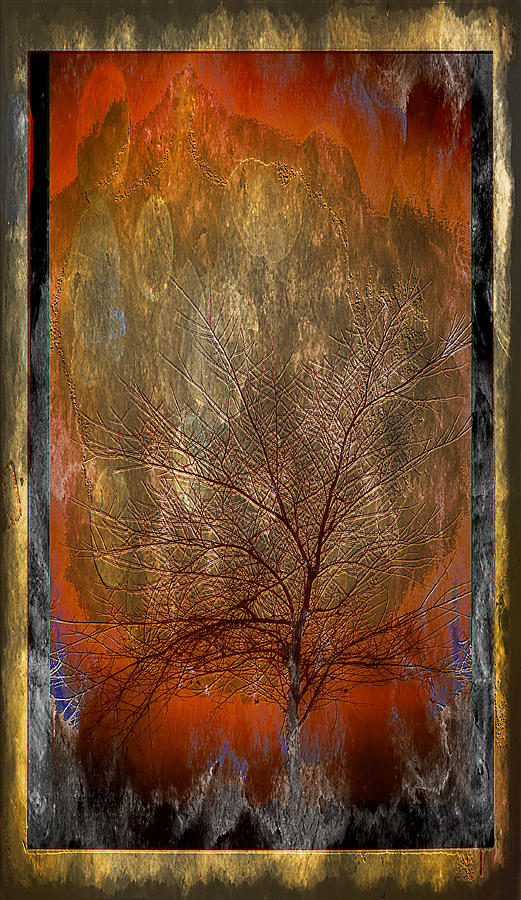 Tree - Grunge 1 Photograph by Phyllis Meinke
