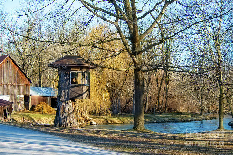 Tree House at the Cider Mill Photograph by David Arment