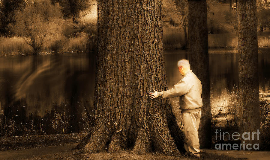 Tree Hugger Photograph by Beth Ferris Sale