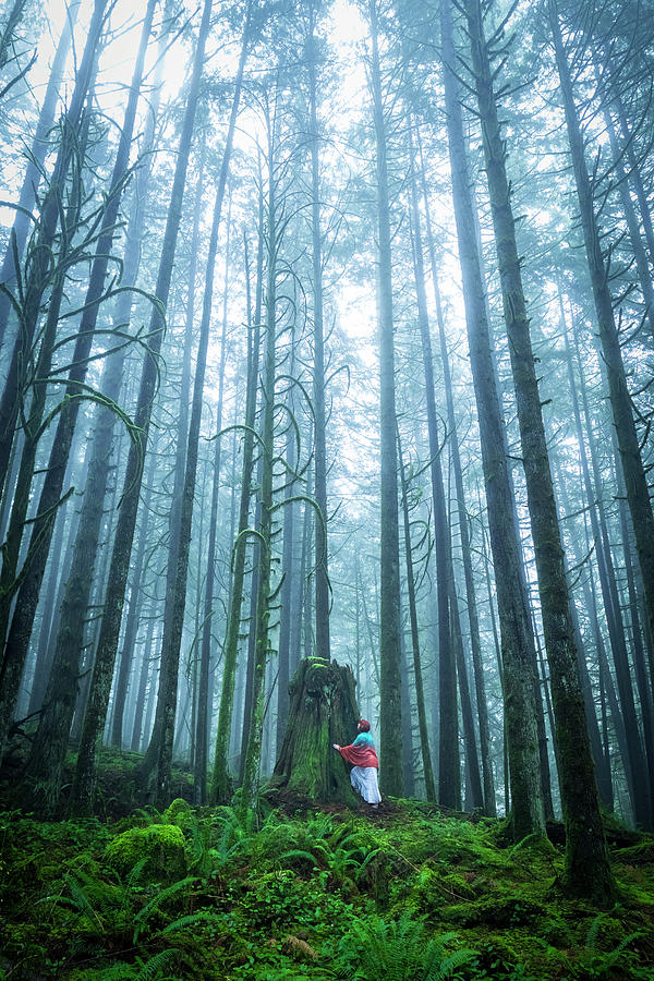 Tree Hugger by Windy Corduroy Tree Hugger by Windy Corduroy