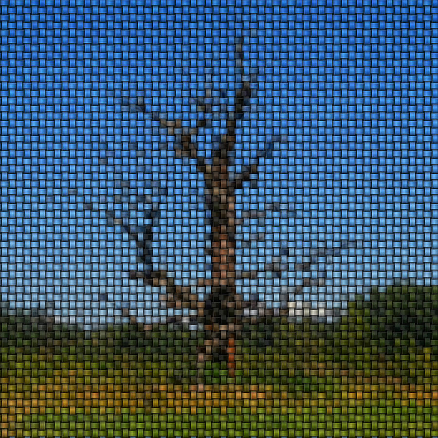Tree Image Knit Digital Art