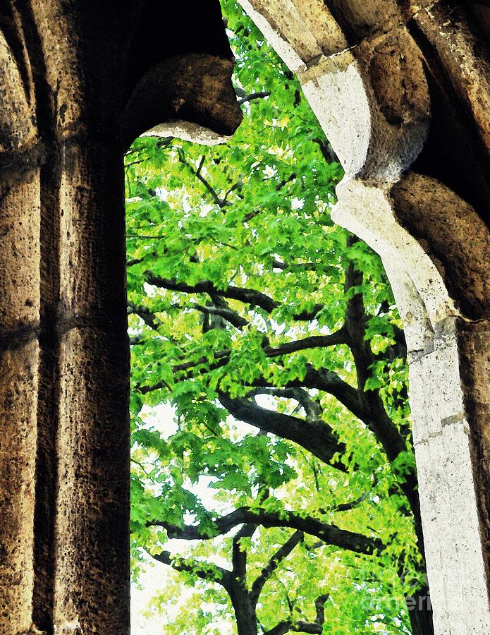 Tree in a Medieval Frame Photograph by Sarah Loft