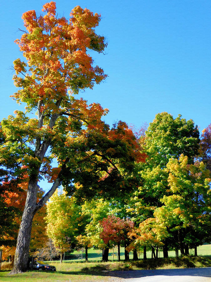 Tree in autumn 11 Painting by Jeelan Clark - Fine Art America