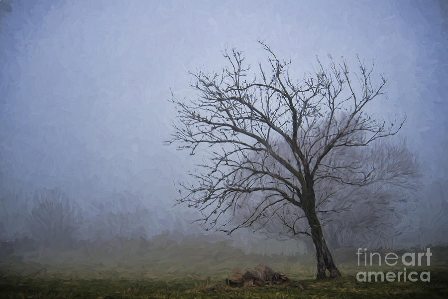 Tree in Fog Paint Effects Photograph by David Arment
