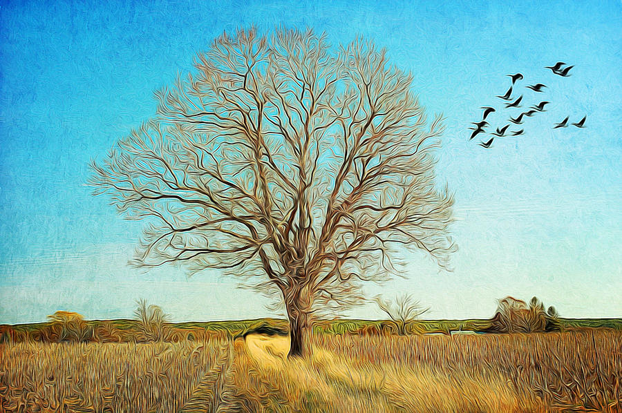Tree In Golden Field Photograph by Cathy Kovarik