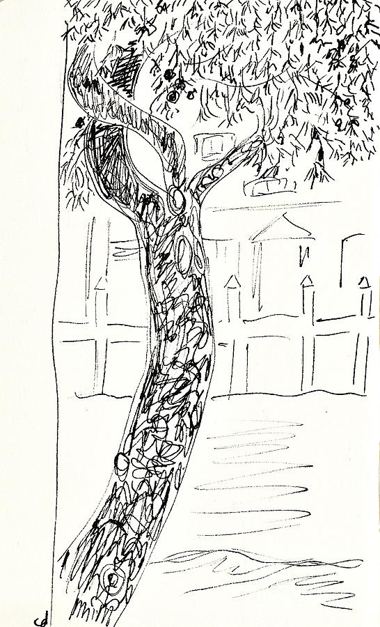 Pine tree in Lanjaron Drawing by Chani Demuijlder