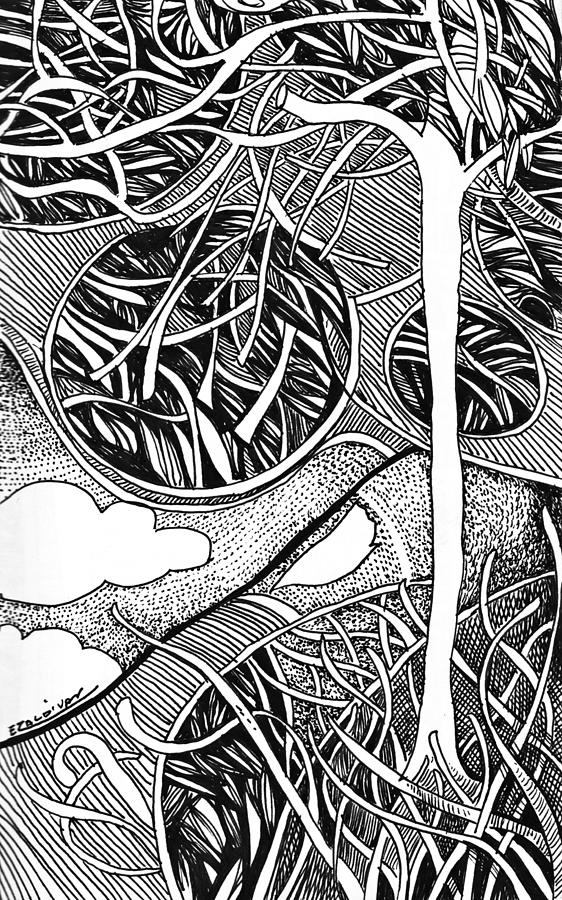 trippy tree drawings black and white