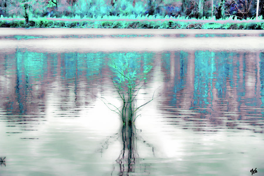 Tree In Pond Abstract Photograph