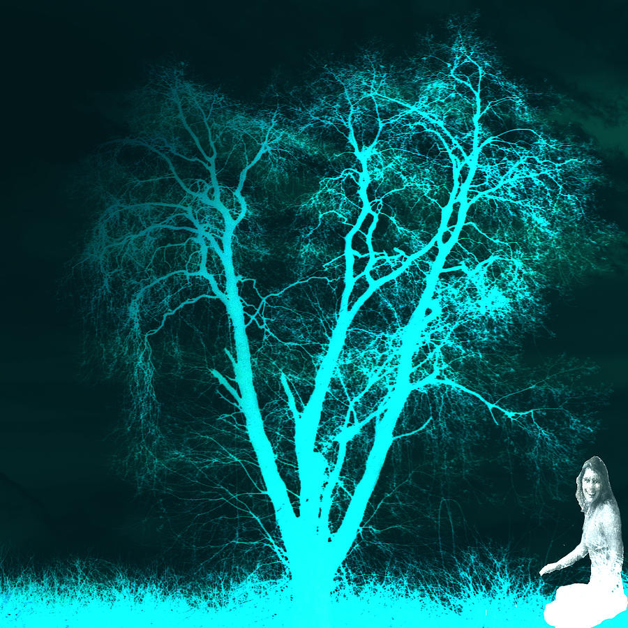 Tree in Silhouette  Digital Art by Cathy Anderson