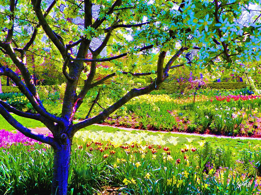 Tree In Spring Painting by Susanna Katherine