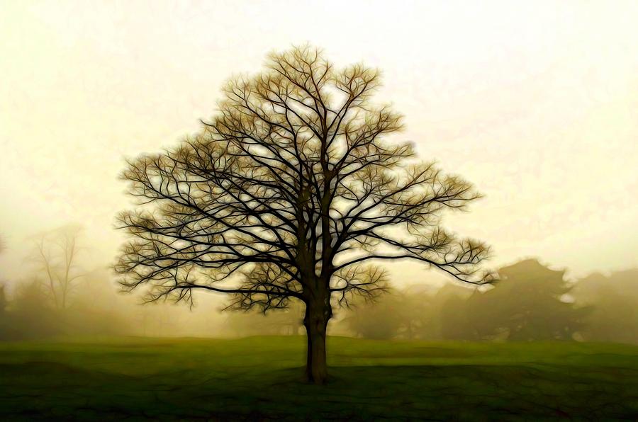 Tree in the Fog Digital Art by Lilia D