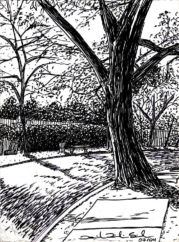 Tree In The Park Drawing by Daniel Ribeiro