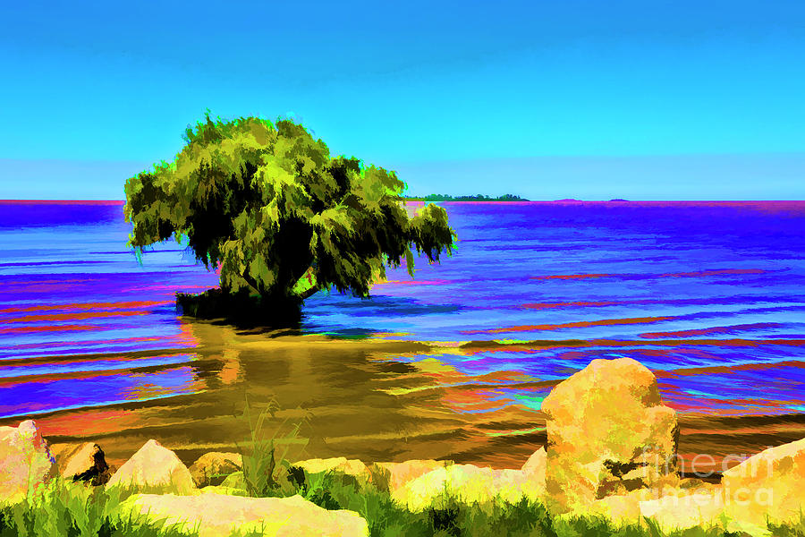 Tree in Water Digital Art by Rick Bragan