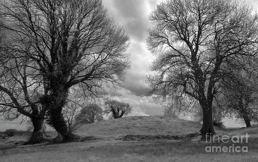 Tree landscape, Black and White Photograph Ireland  Photograph by Patrick McGill