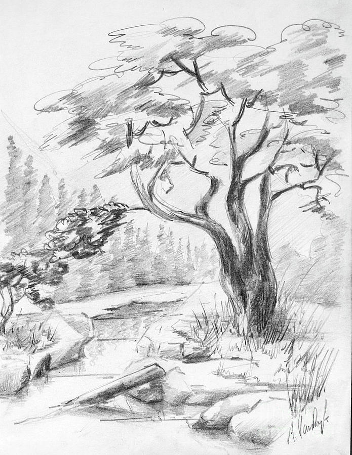 Tree Landscape Drawing by Dorothy Hilde Fine Art America