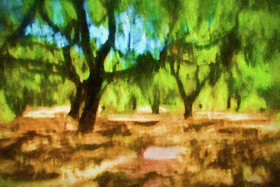Tree Landscape Mixed Media by Joseph Hollingsworth
