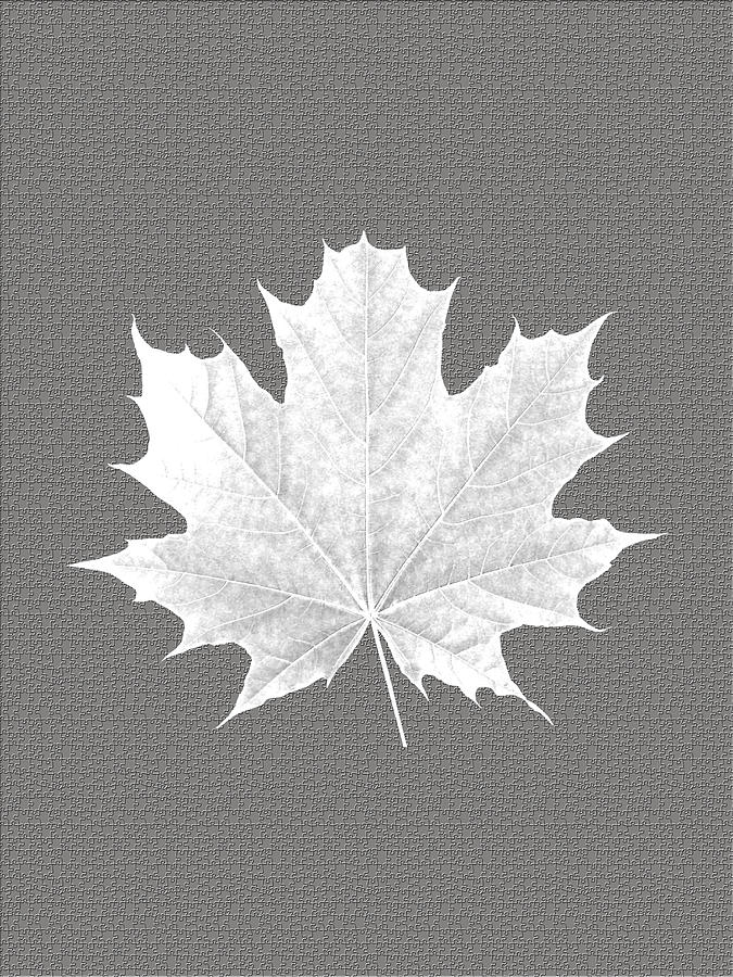 Tree Mixed Media - Tree Leaf Art by Marvin Blaine