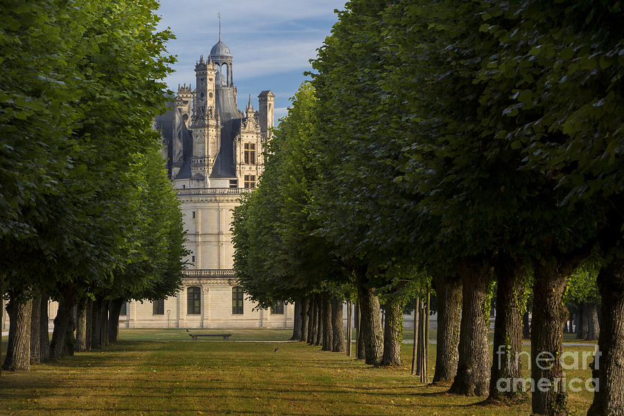 Tree-lined Chateau Photograph by Brian Jannsen