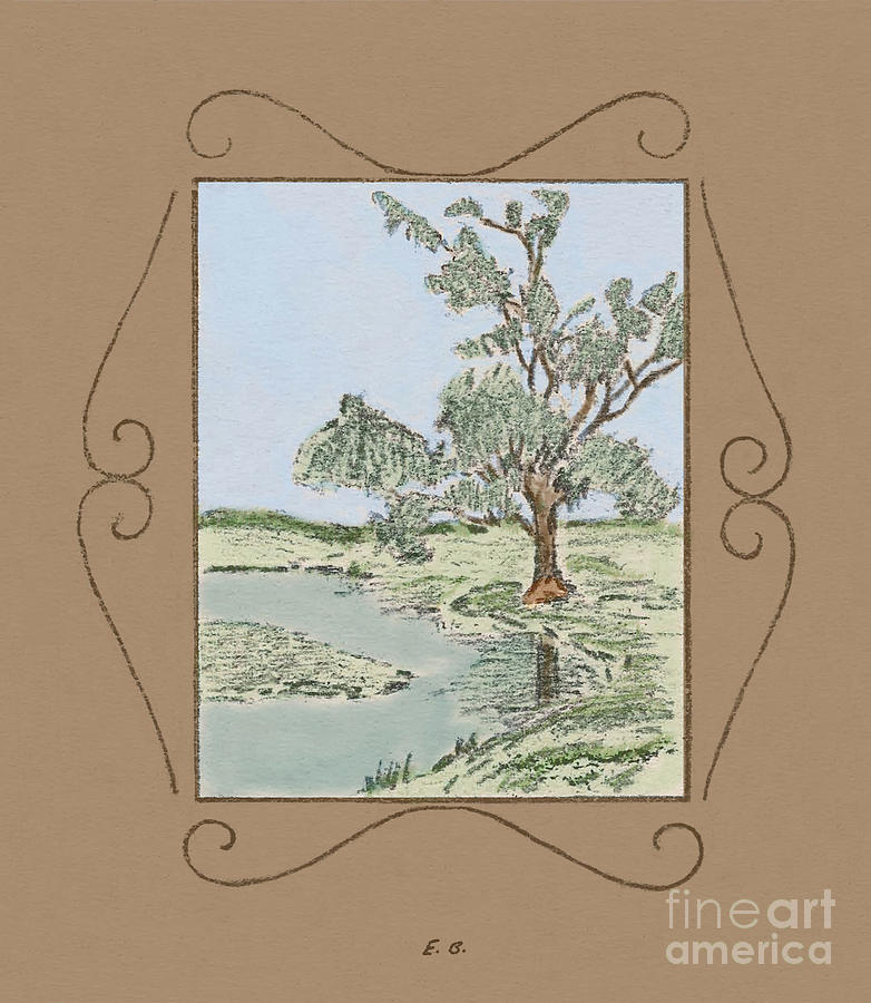 Tree Mirror in Lake Drawing by Donna L Munro
