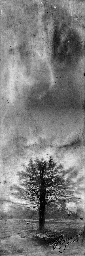 Tree Mist Mixed Media by Roseanne Jones