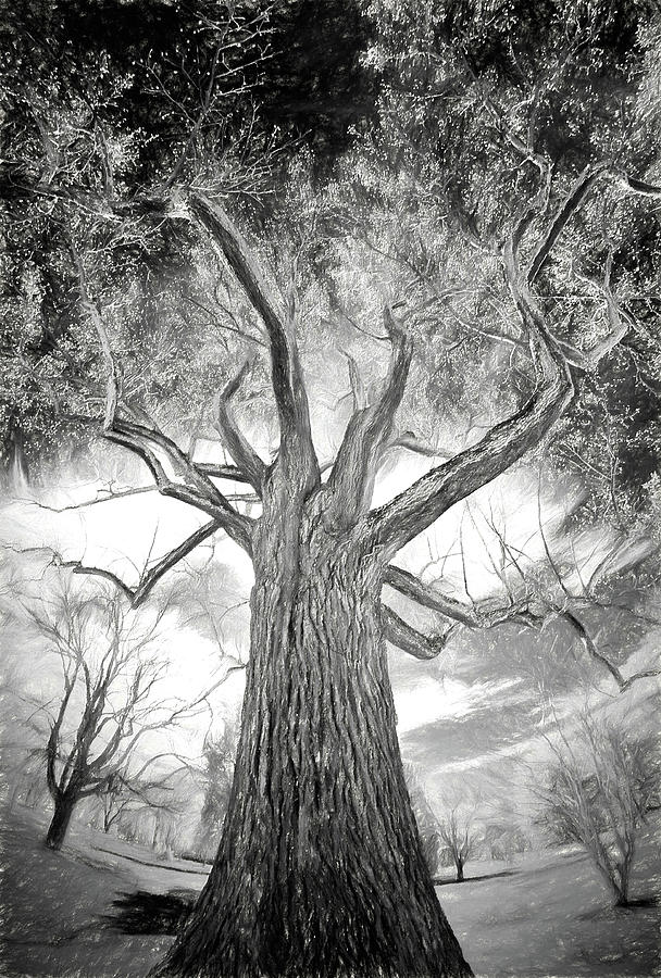 Tree Monster BW AP Painting by Dan Carmichael