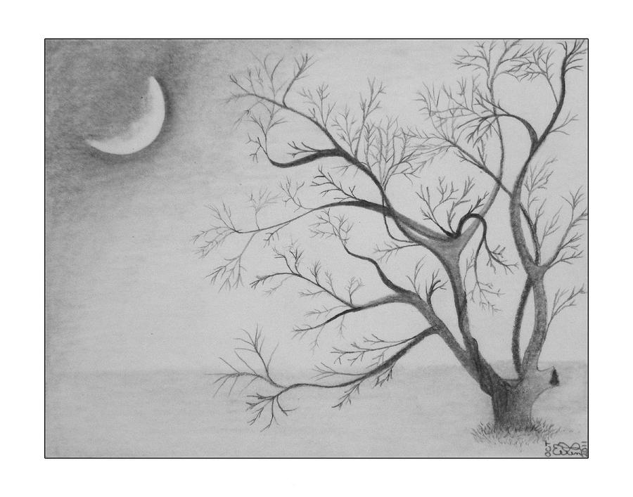 How to draw scenery of moonlight with pencil step by step, Pencil Drawing  for beginners - YouTube